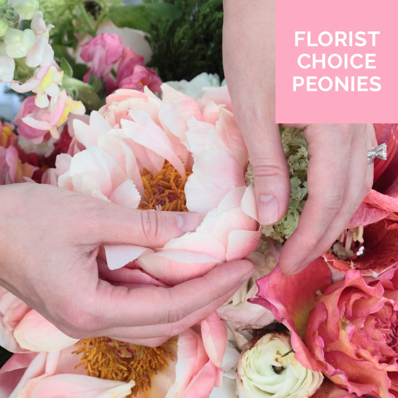 Buying sales peonies online