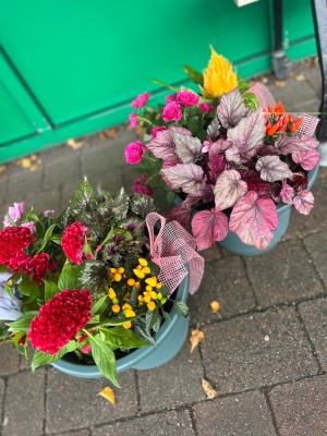 Autumn Planter