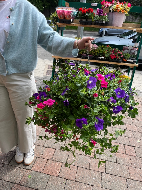 Hanging Baskets