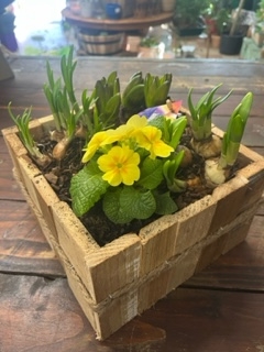 Spring Planter 2