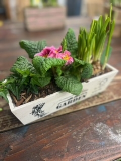 Spring Planter 3