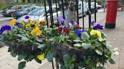 Winter Hanging Baskets