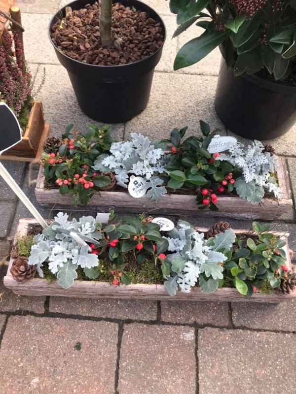 Winter Window Planters