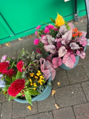 Autumn Planter