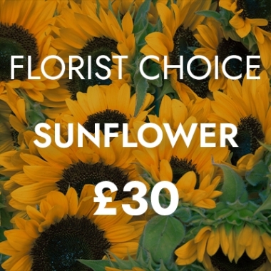 Florist Choice Sunflower £30