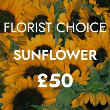 Florist Choice Sunflower £50