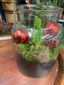 Hyacinth Glass Planter