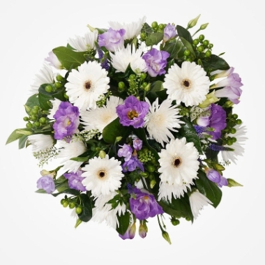 Posy Lilac & White