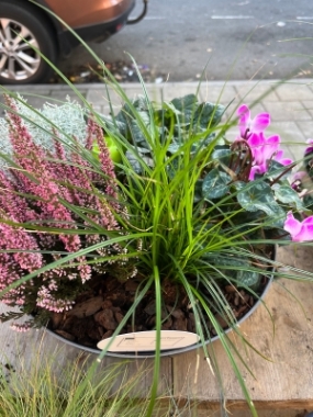 Winter Planter