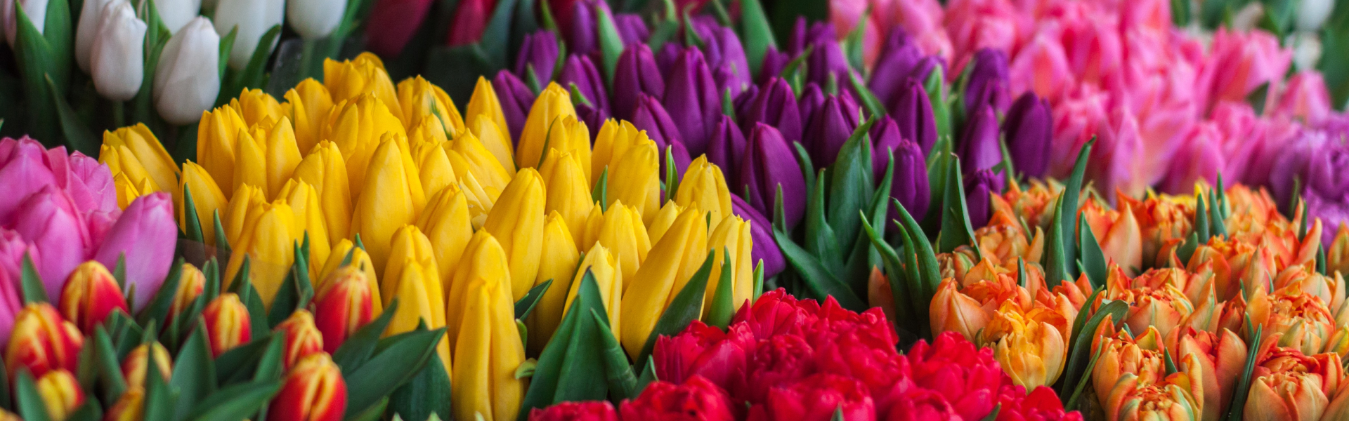 Flowers Cardiff The Market Garden Flower Delivery Cardiff